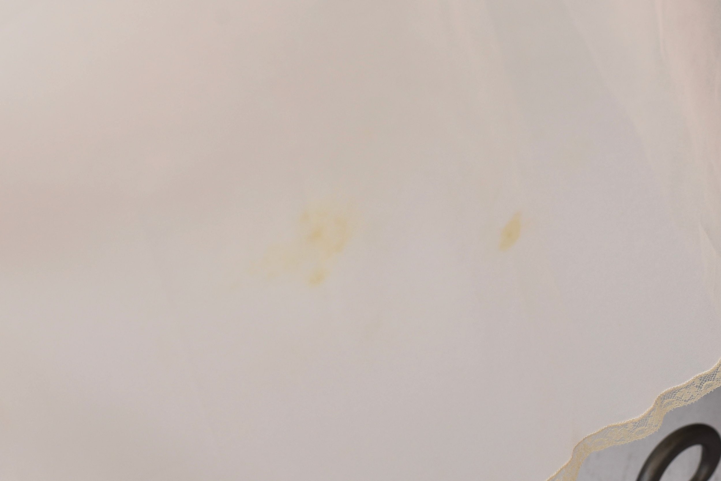 DSC_0202.jpeg