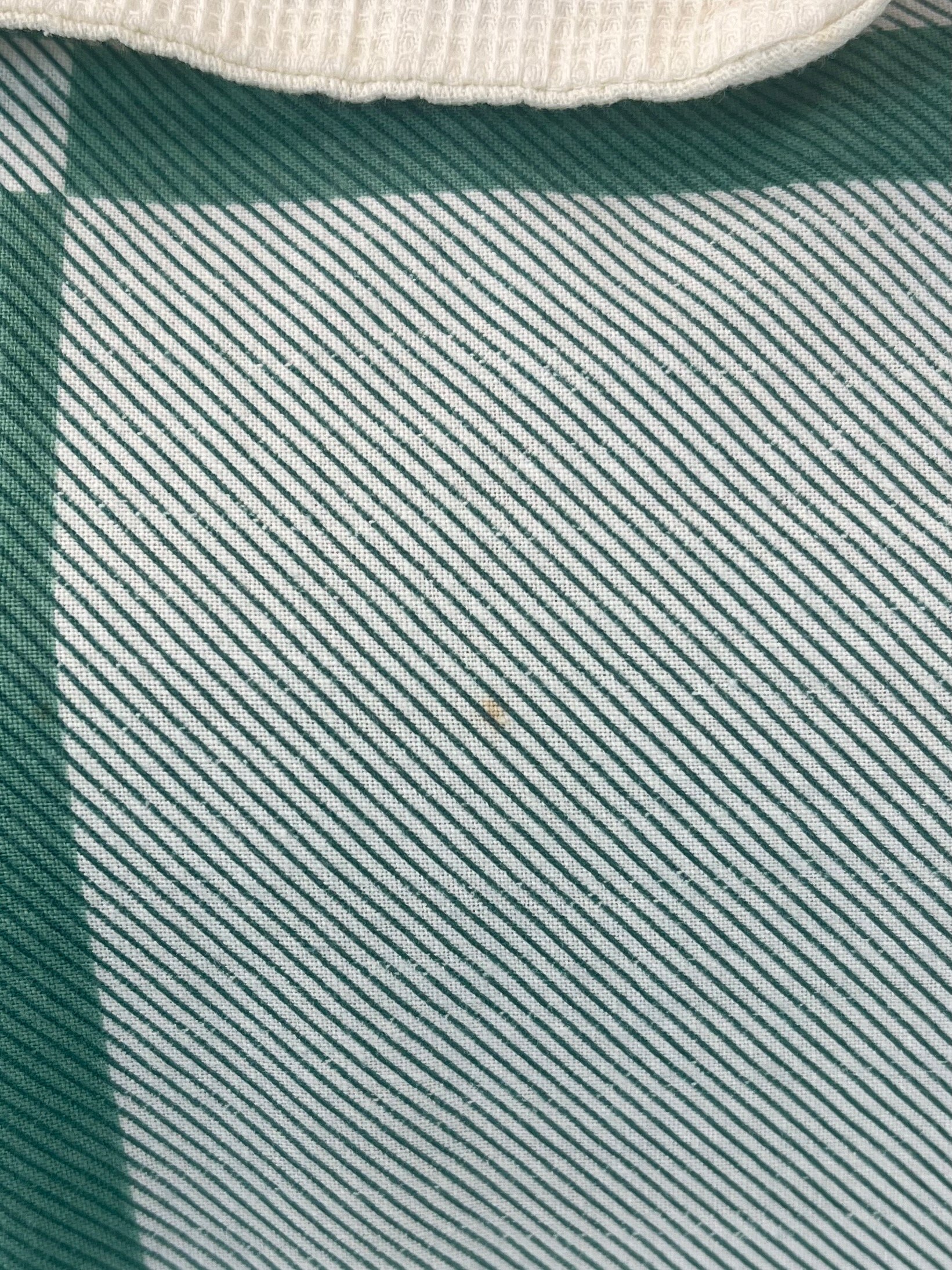 IMG_9240.jpeg