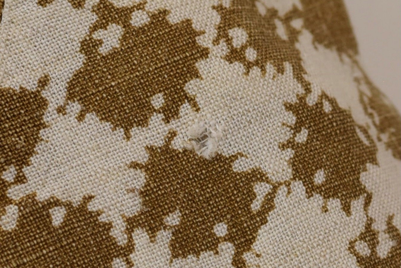 DSC_0117.jpeg