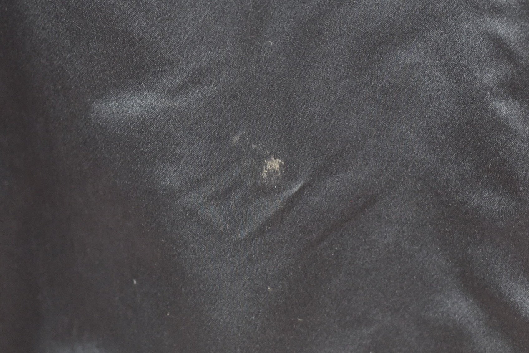 DSC_0350.jpeg