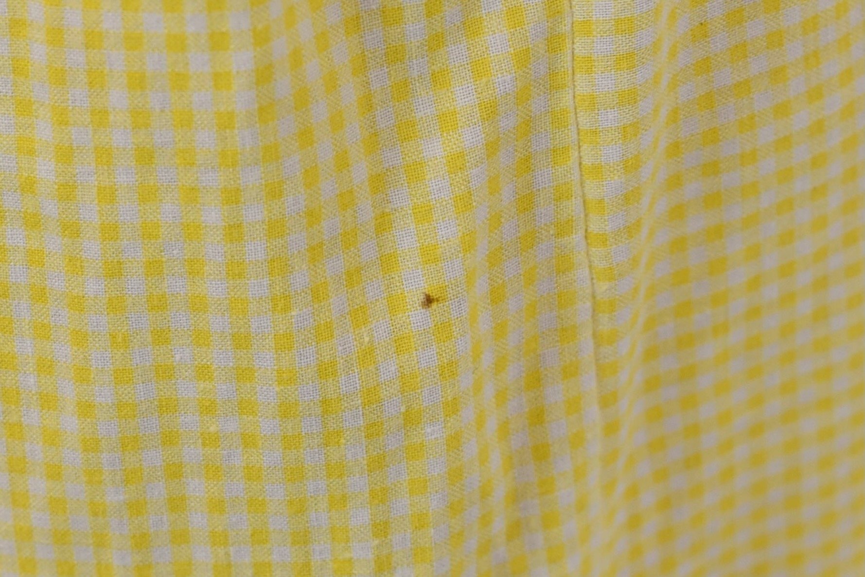 DSC_0098.jpeg