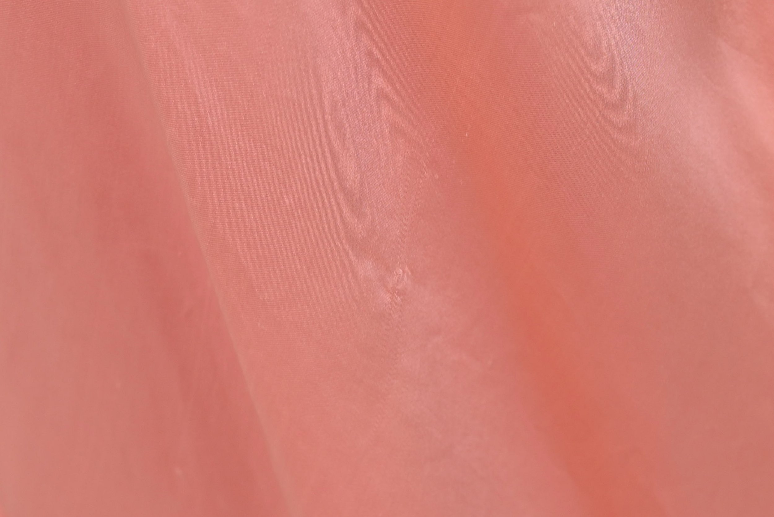DSC_0113.jpeg
