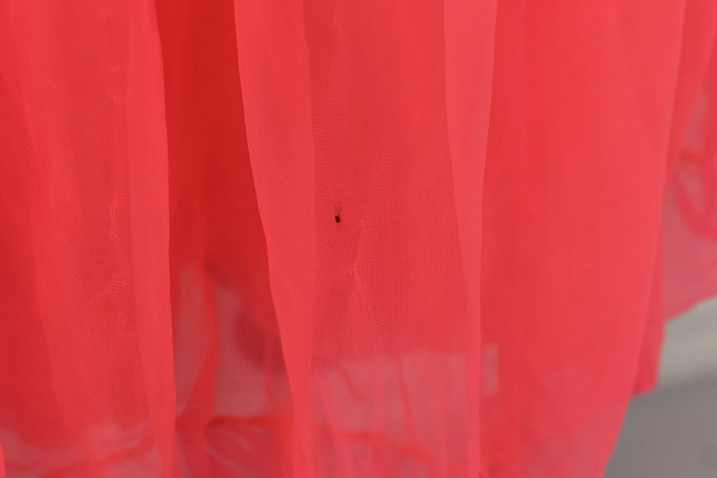 DSC_0120.jpeg