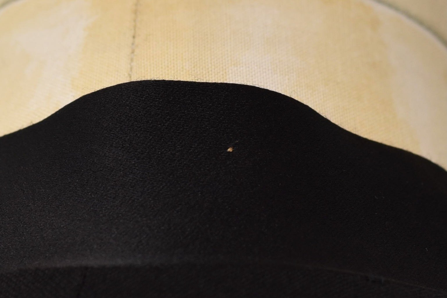 DSC_0317.jpeg (Copy)