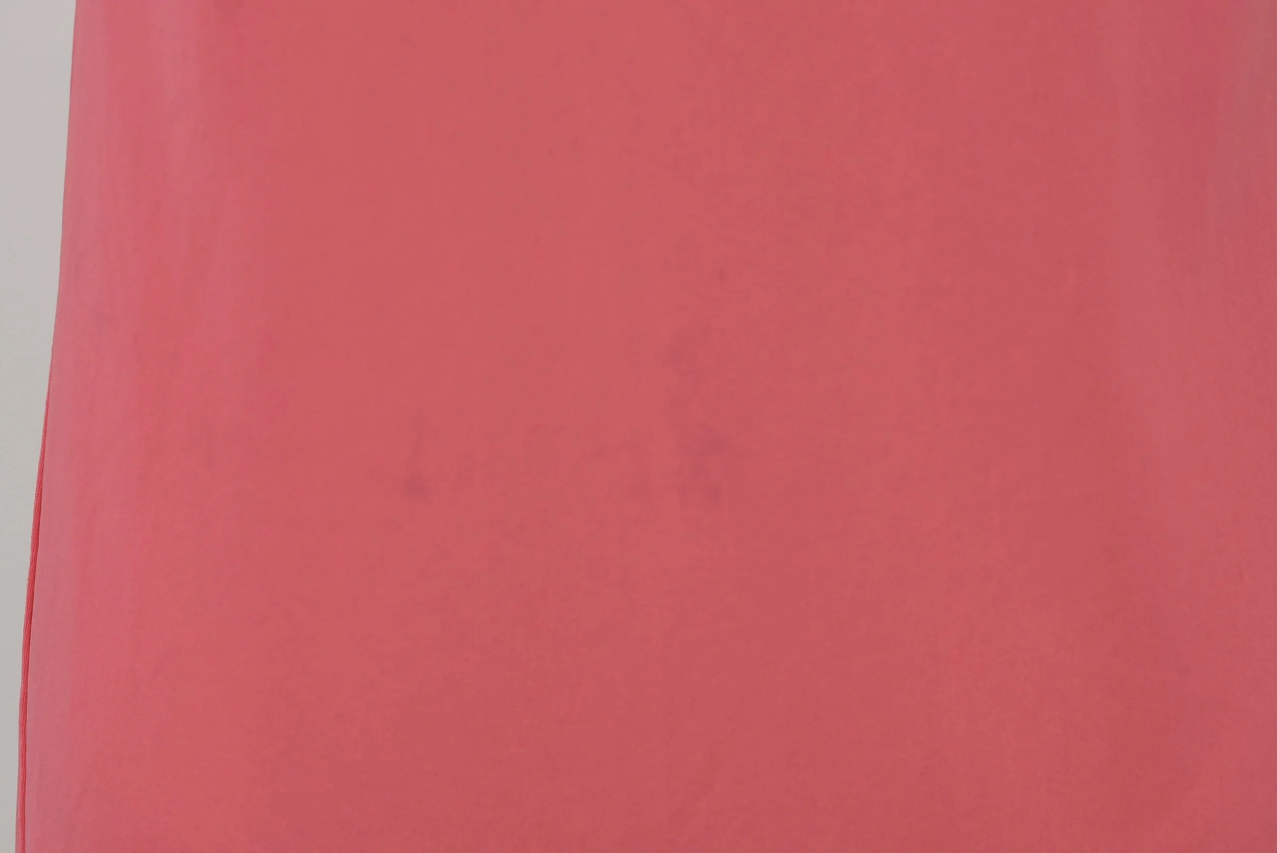 DSC_0403.jpeg