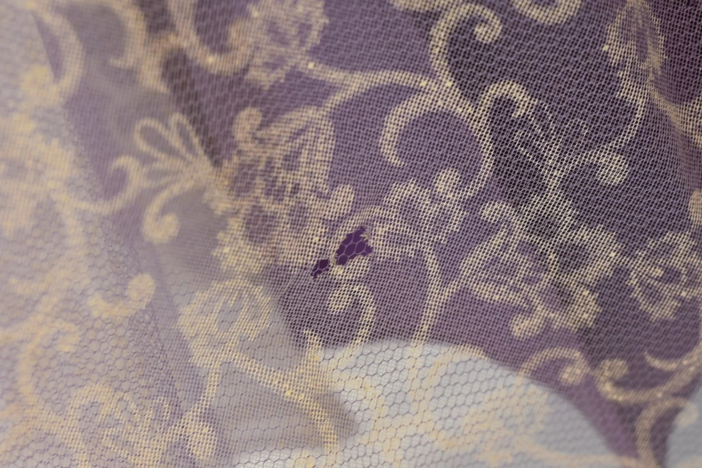 DSC_0054.jpeg