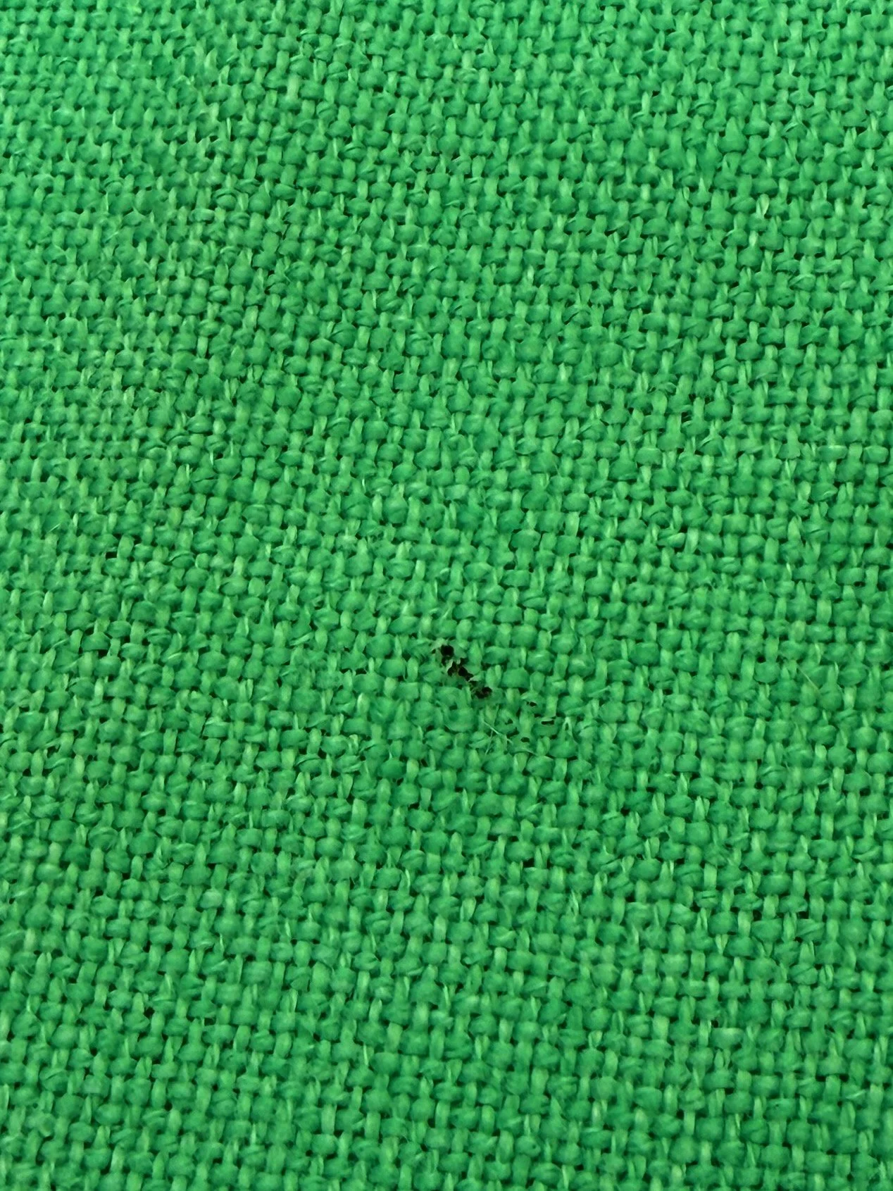 IMG_2051.jpeg
