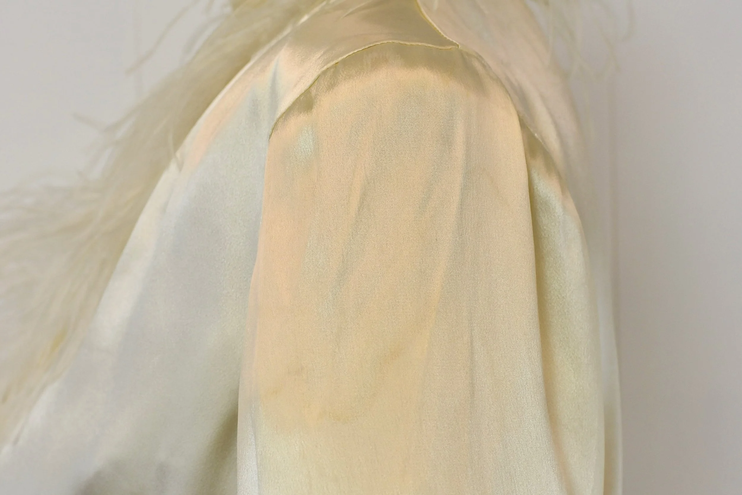 DSC_0066.jpeg