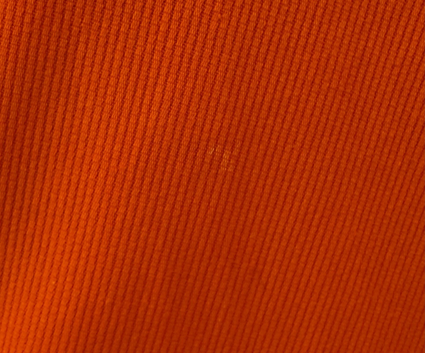 IMG_2578.jpeg