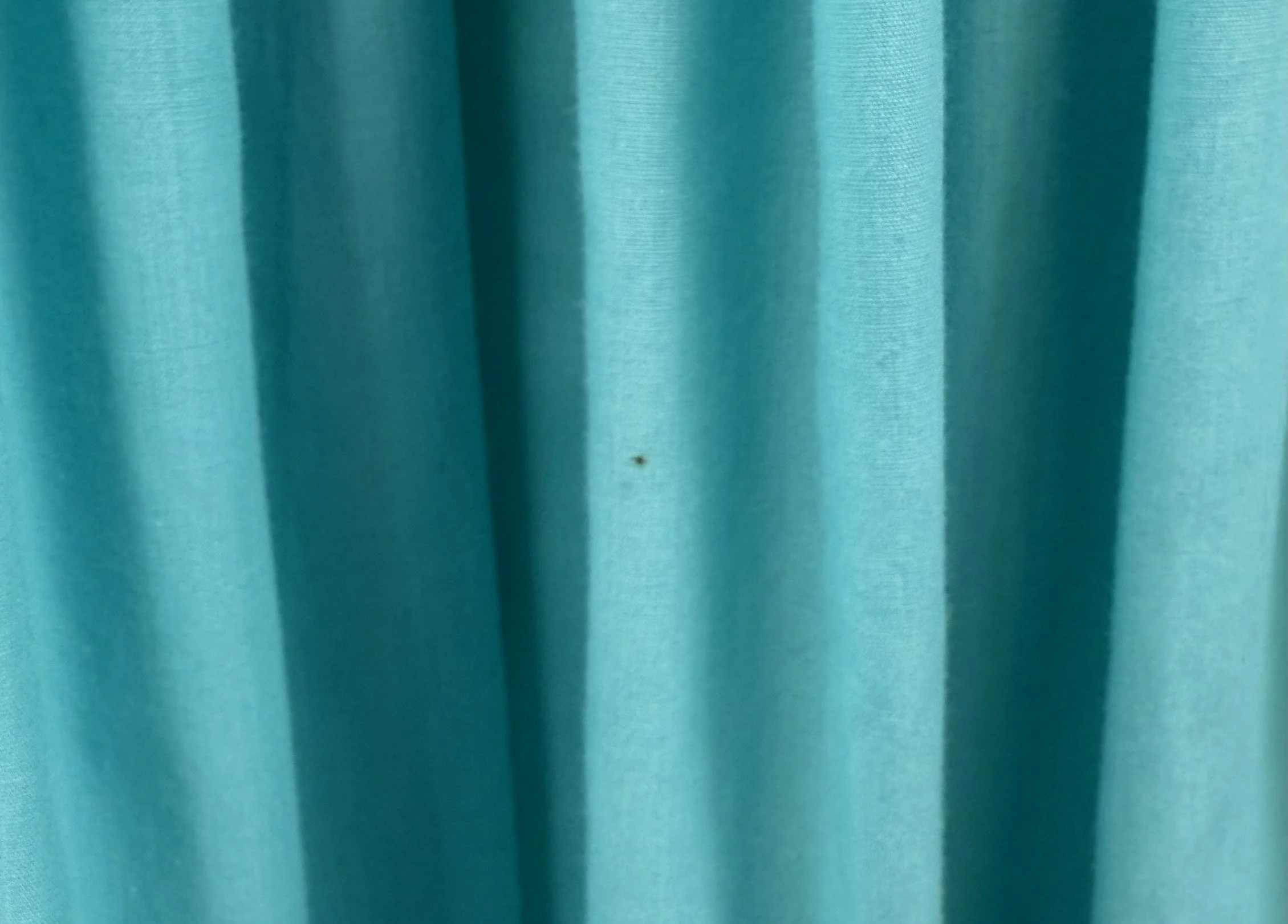 IMG_1728.jpeg
