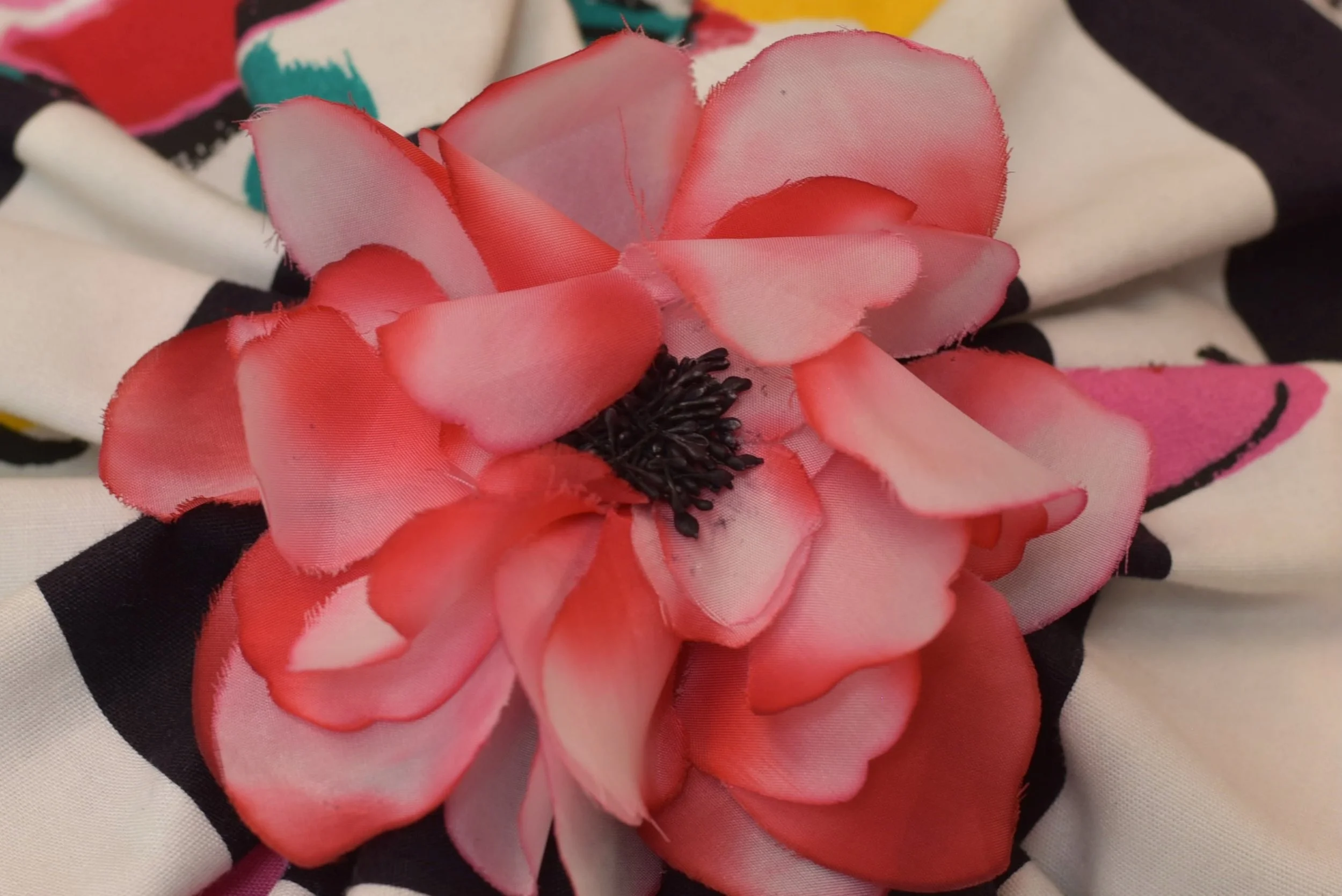 DSC_0047.jpeg