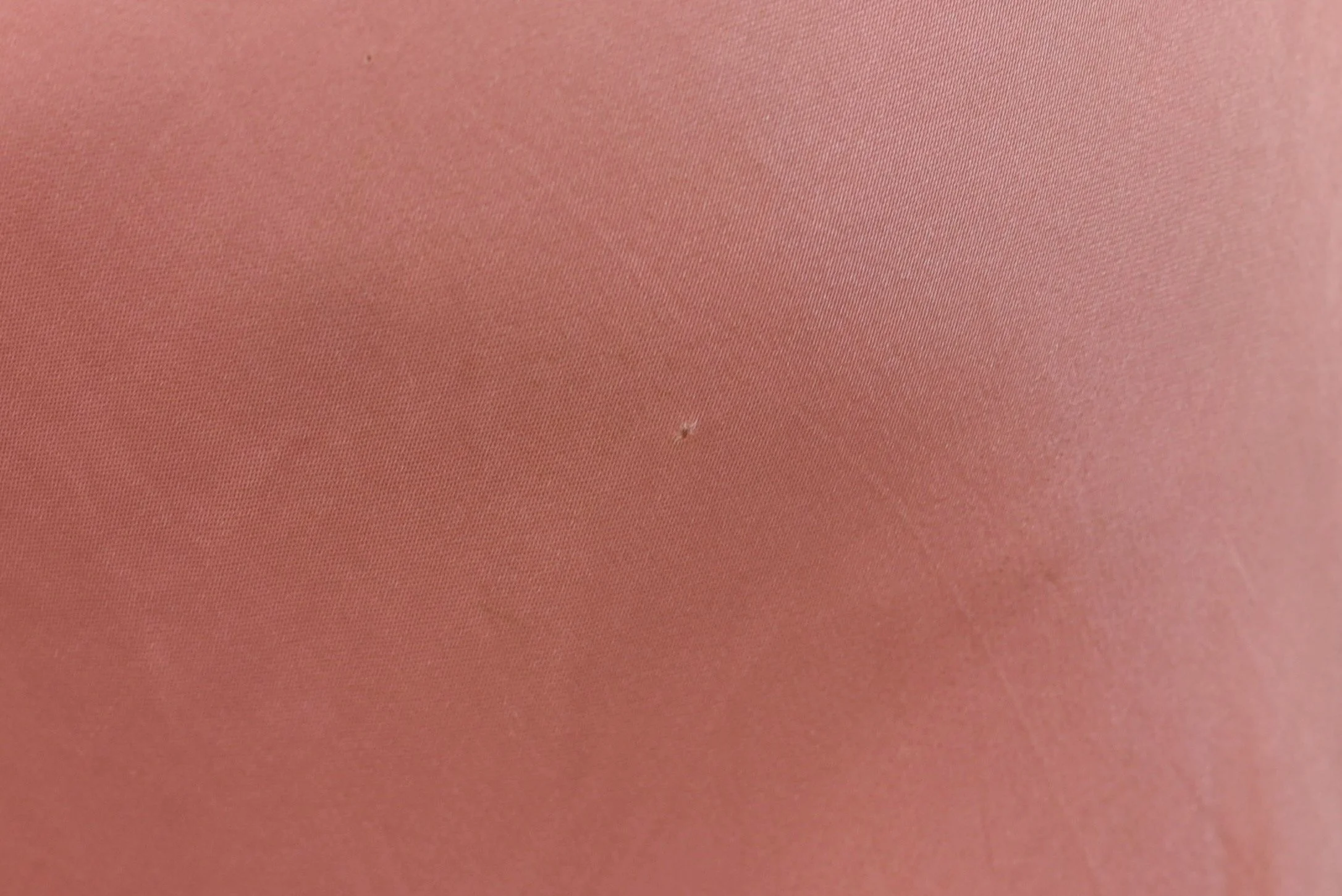 DSC_0117.jpeg