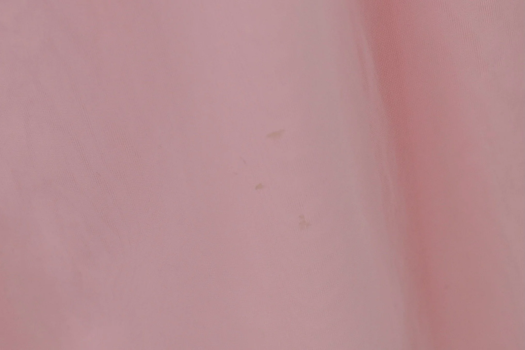DSC_0196.jpeg