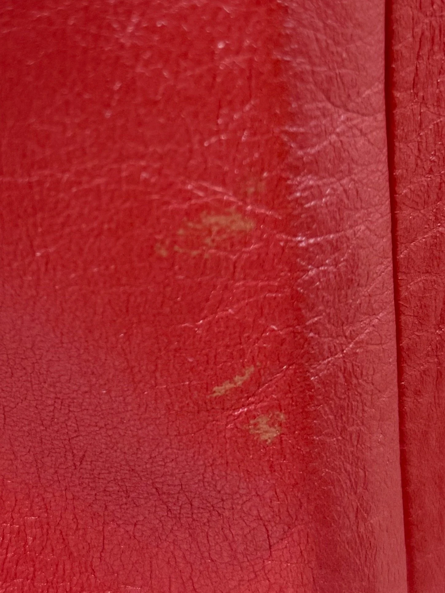 IMG_7007.jpeg