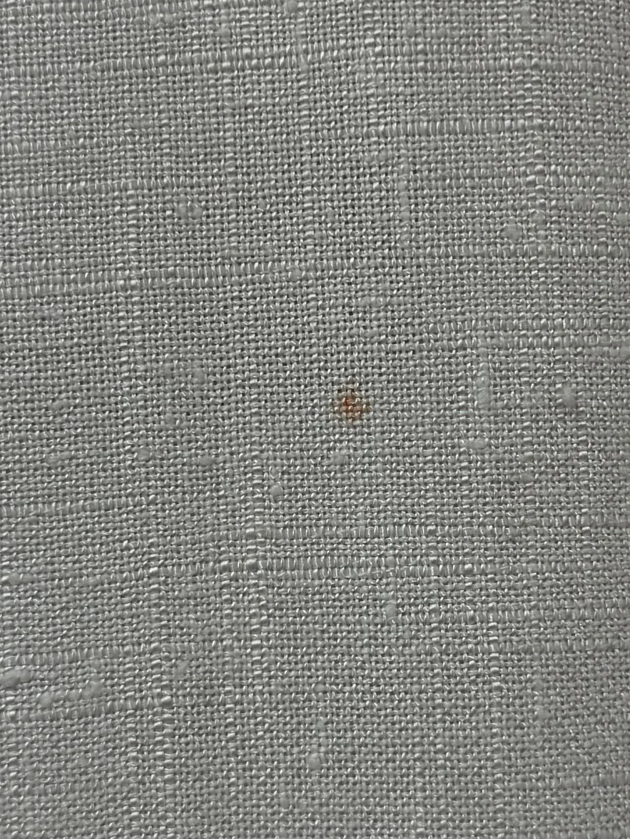 IMG_8072.jpeg