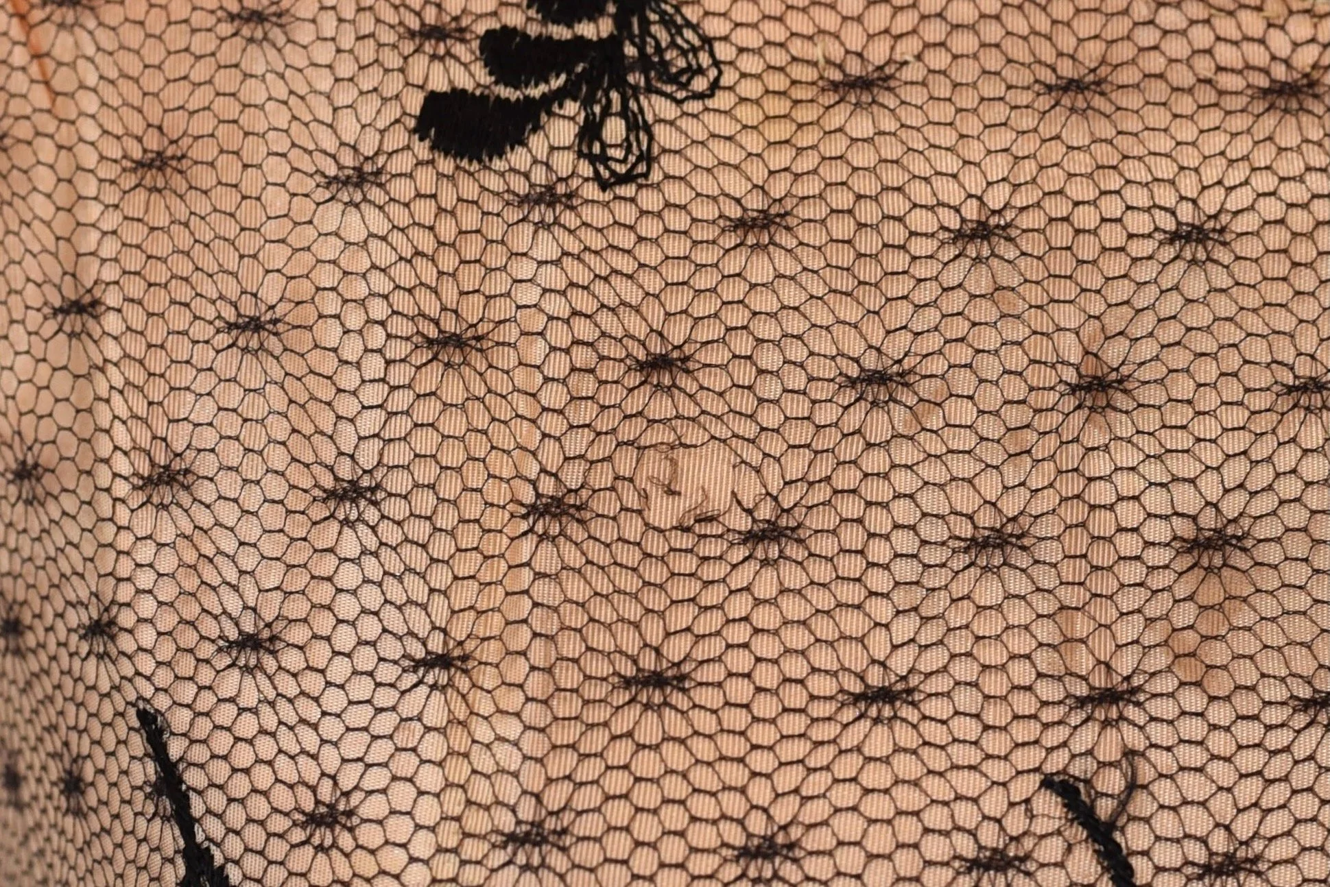 DSC_0011.jpeg