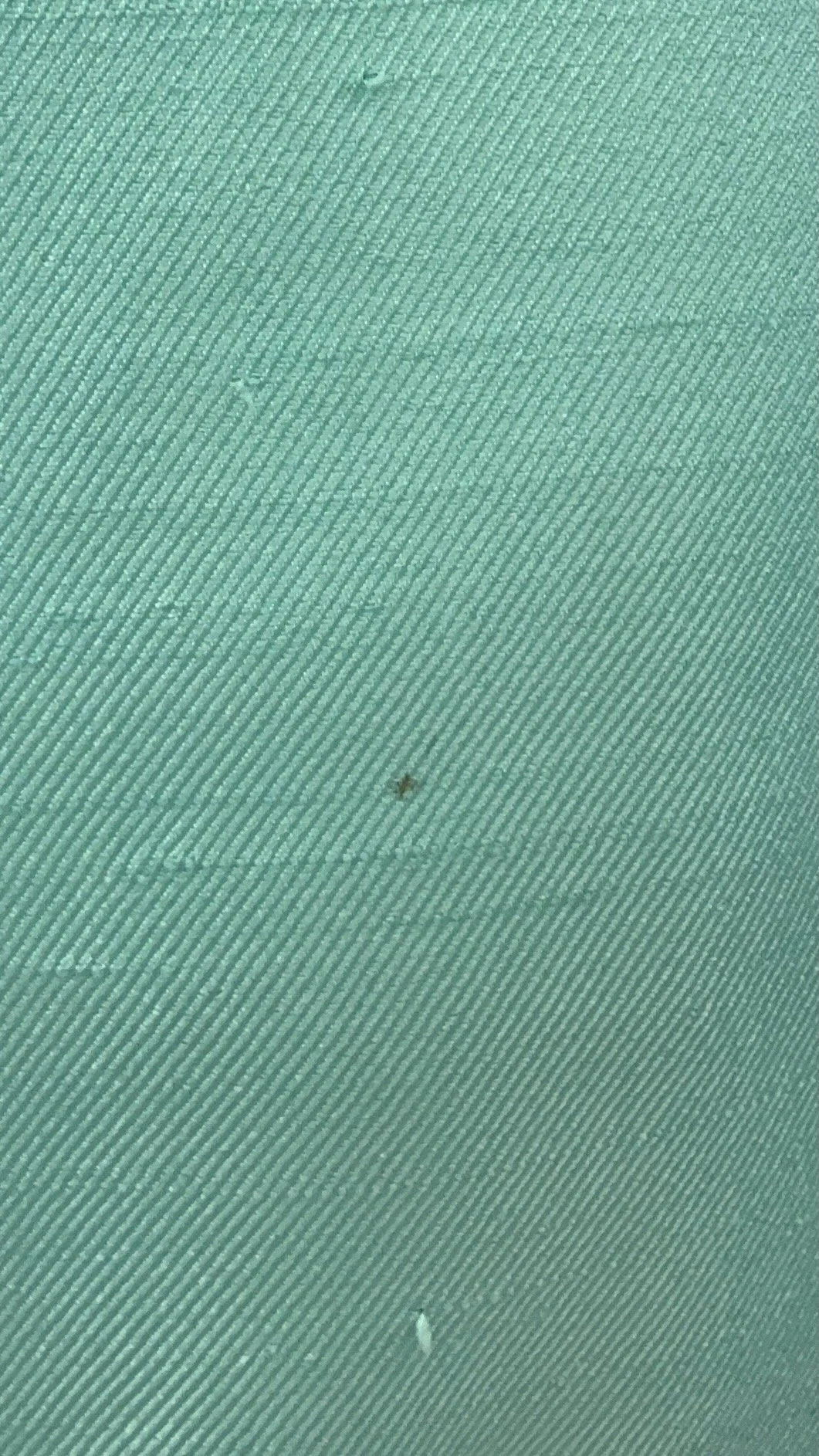 IMG_1778.jpeg