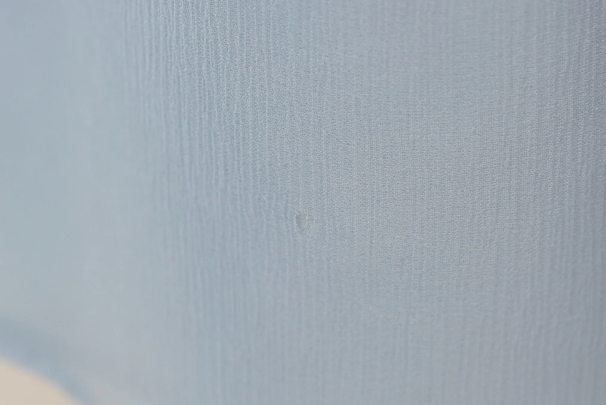 DSC_0266.jpeg