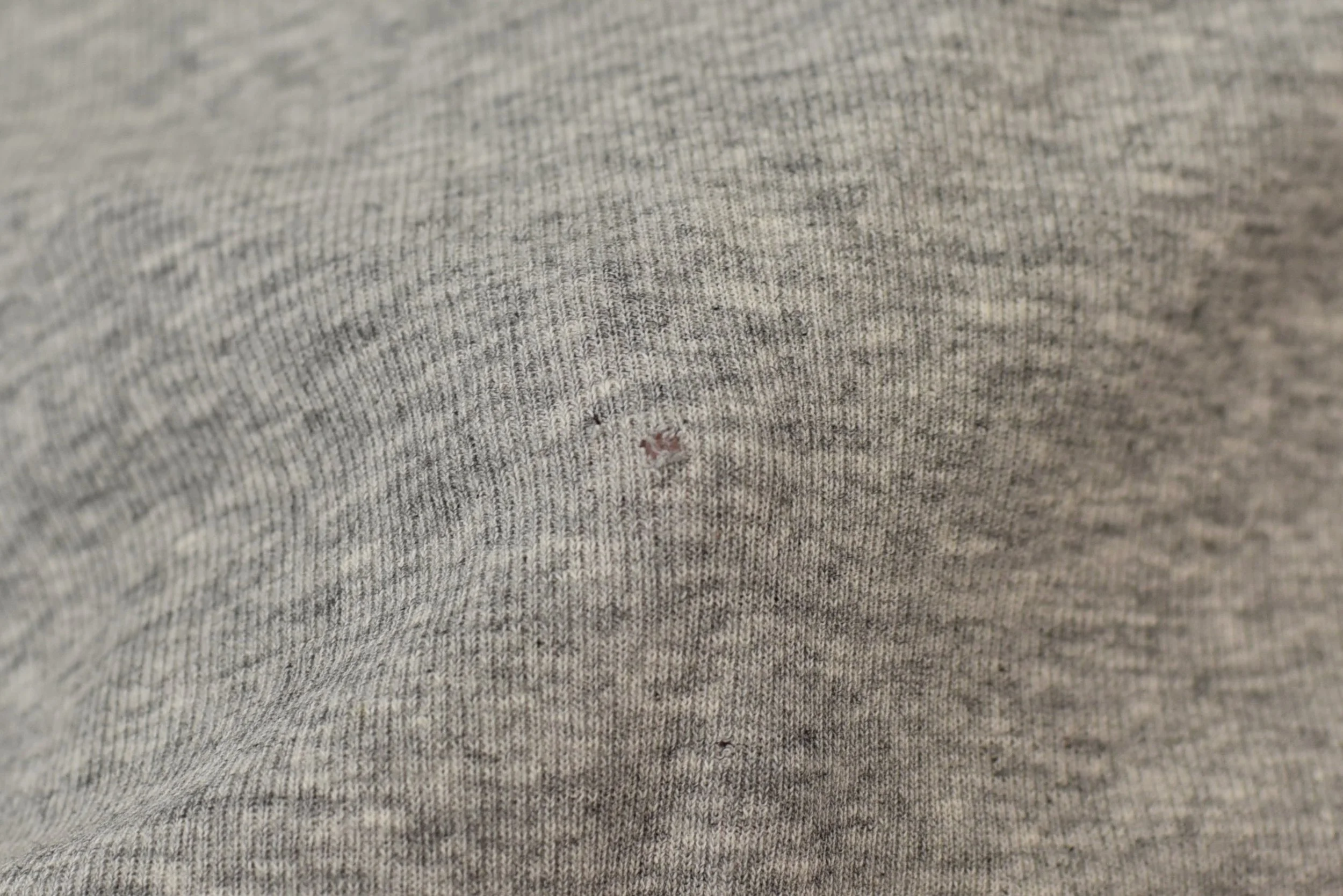 DSC_0506.jpeg