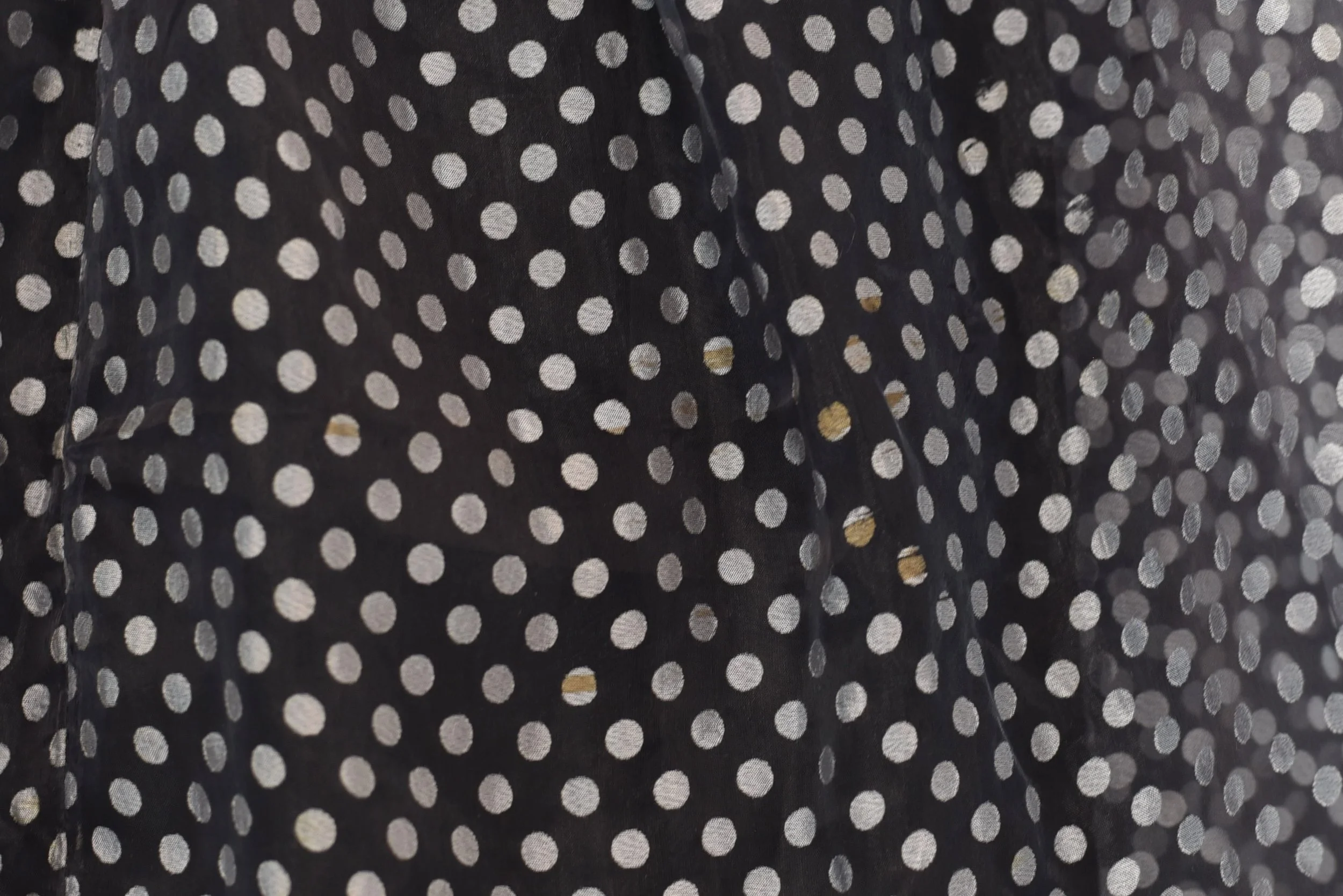 DSC_0326.jpeg