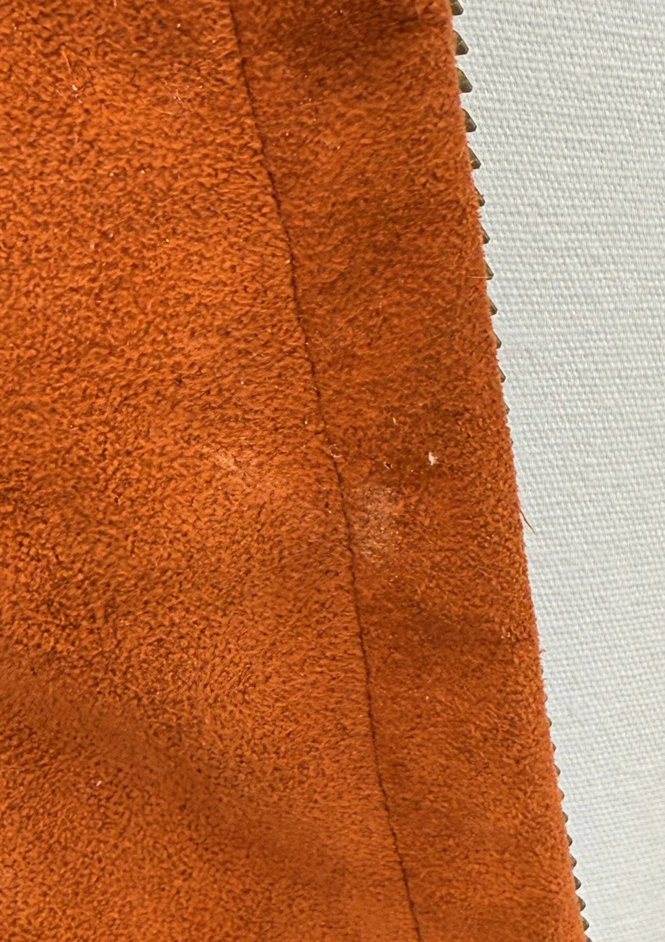IMG_4021.jpeg
