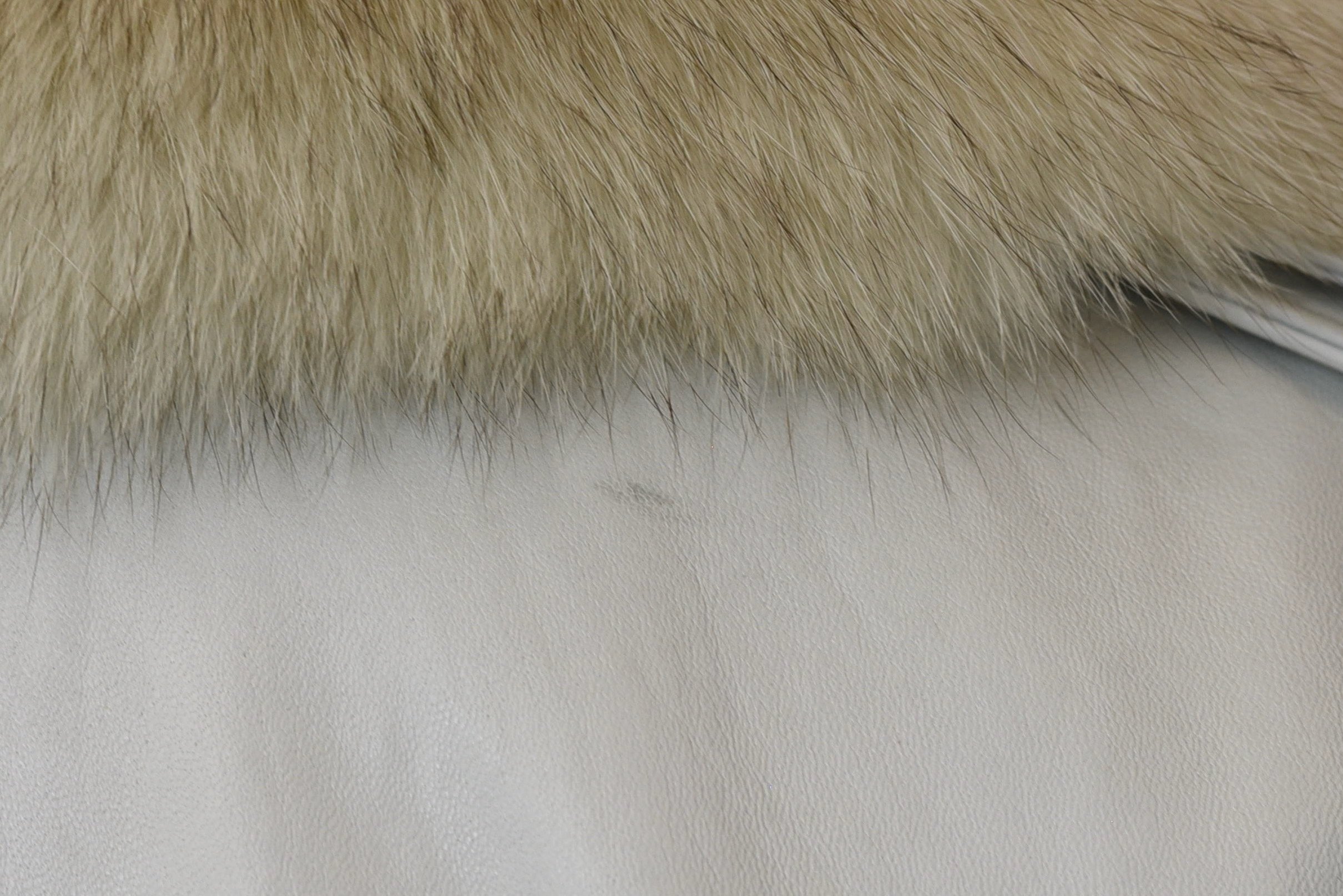DSC_0049.jpeg