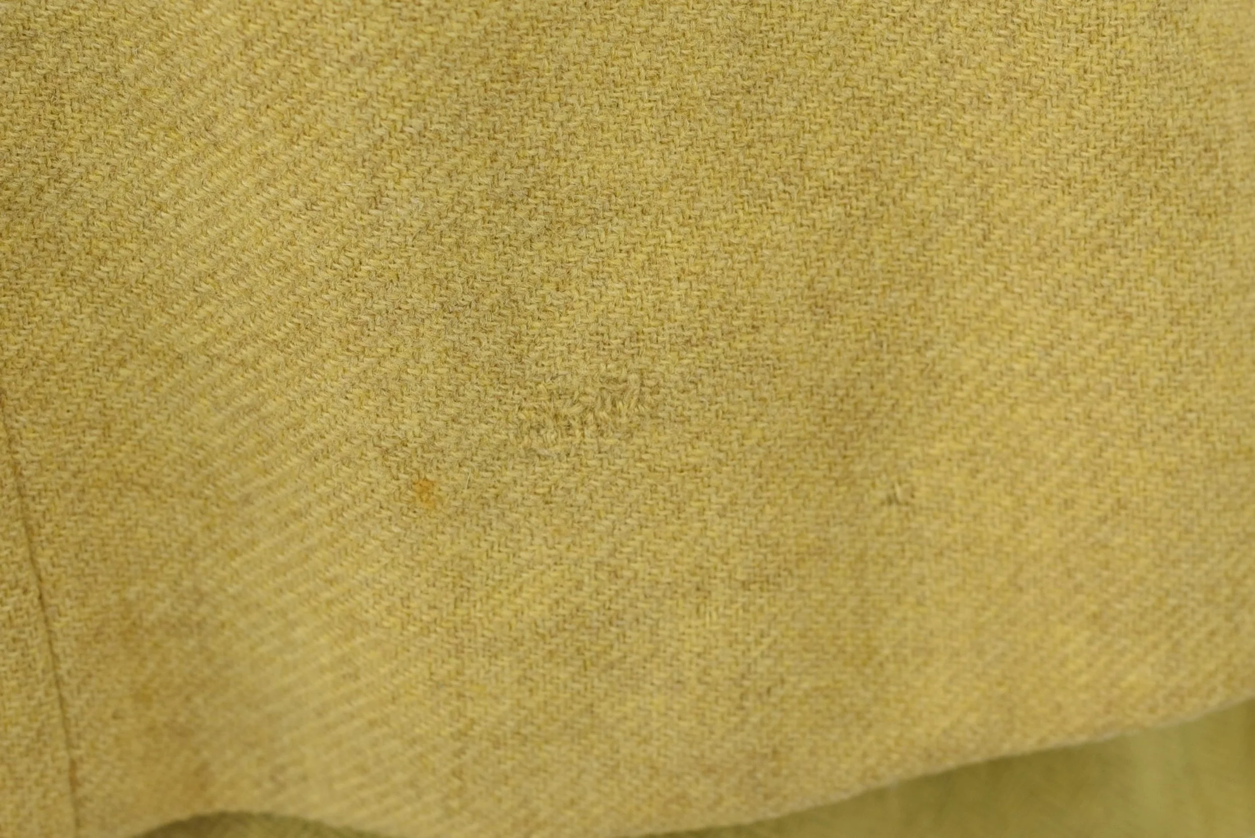 DSC_0178.jpeg