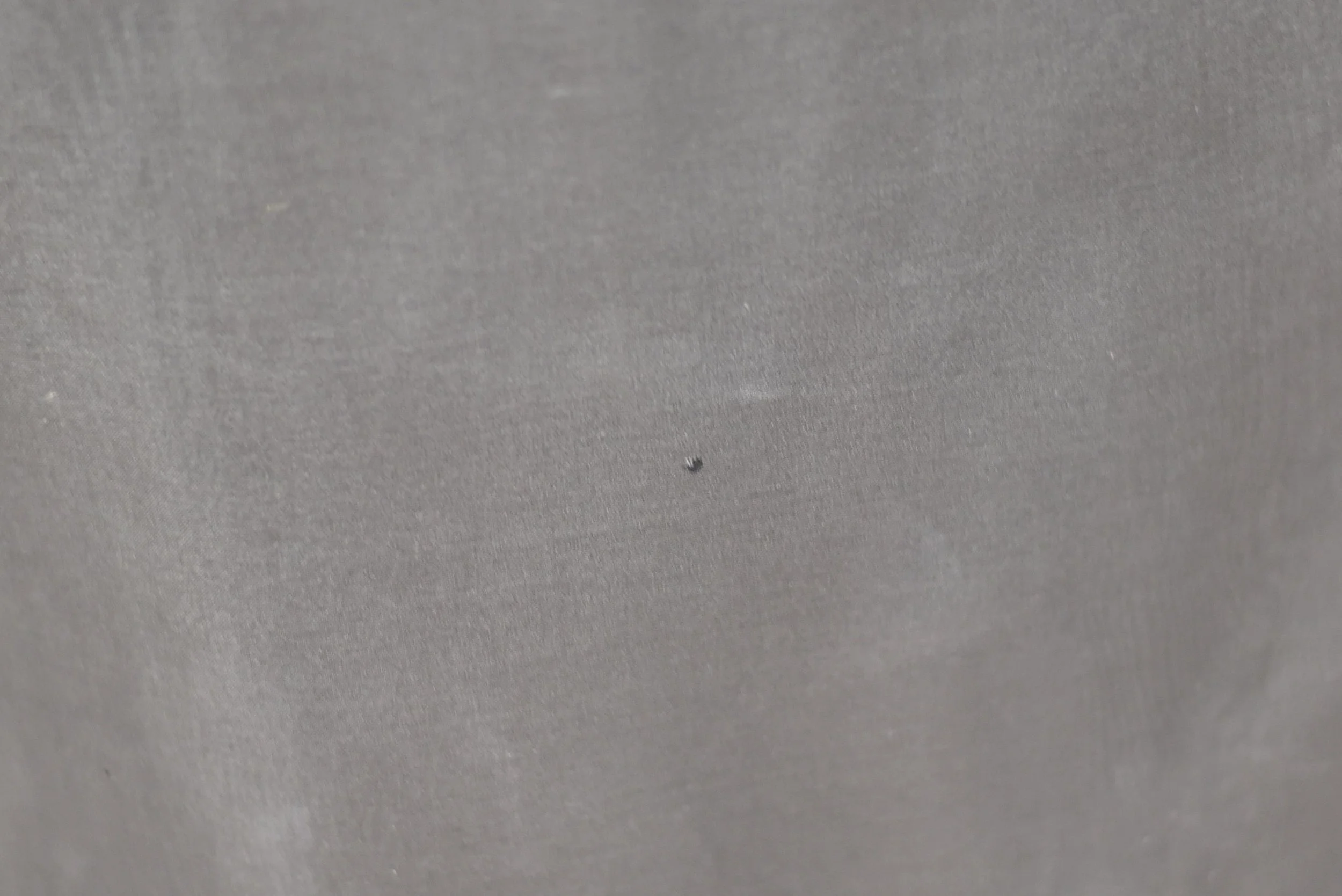 DSC_0787.jpeg