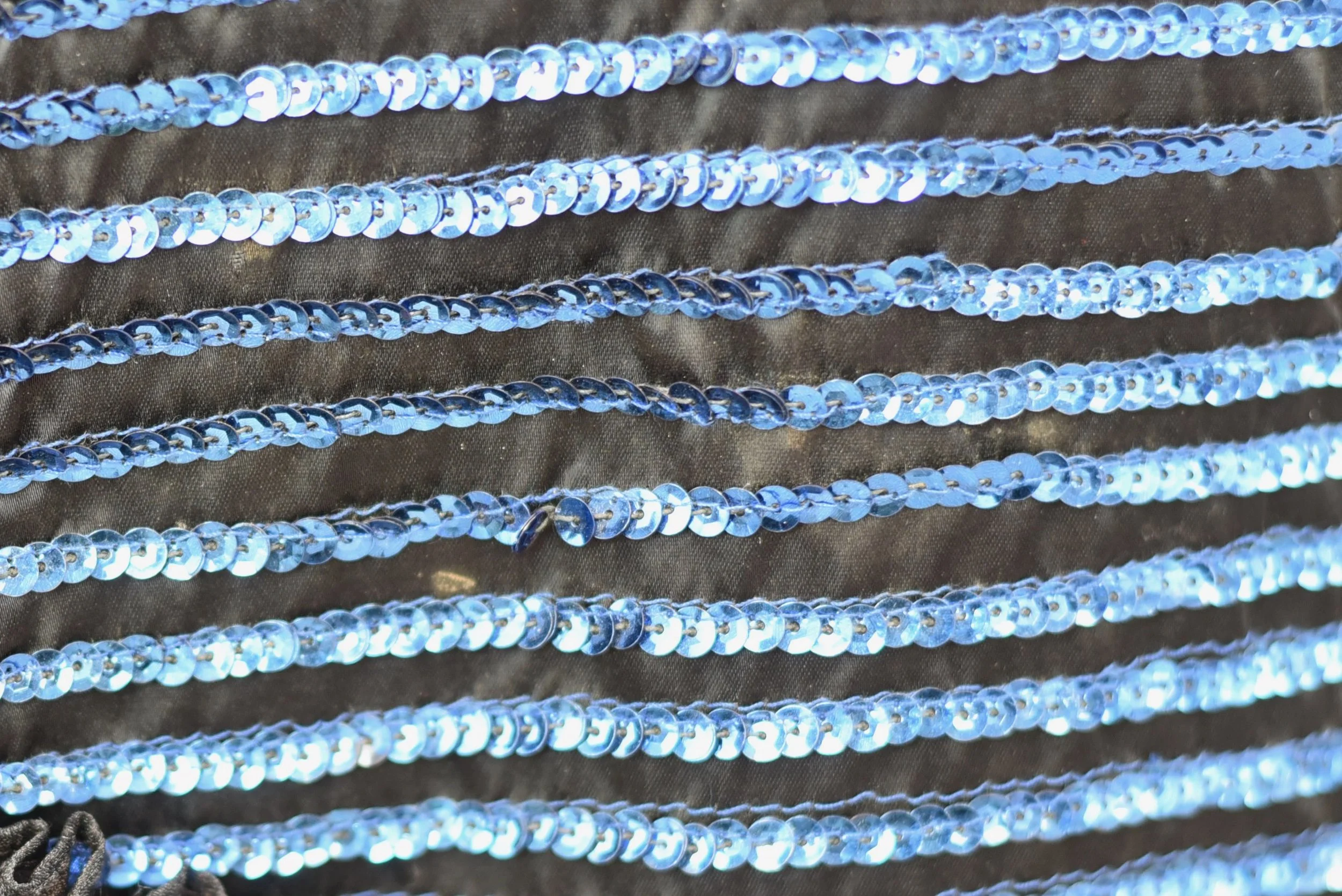 DSC_0525.jpeg