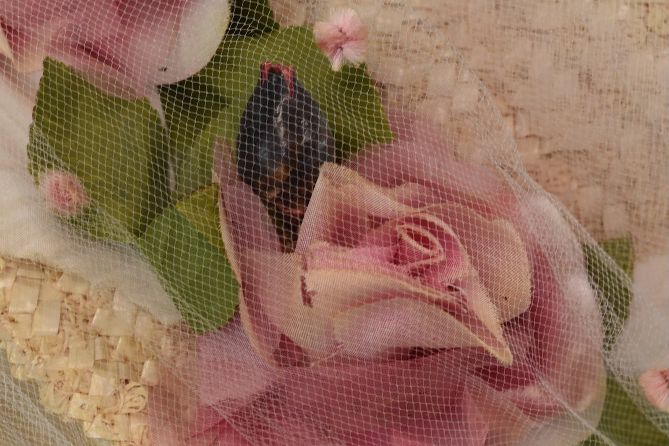 DSC_0148.jpeg