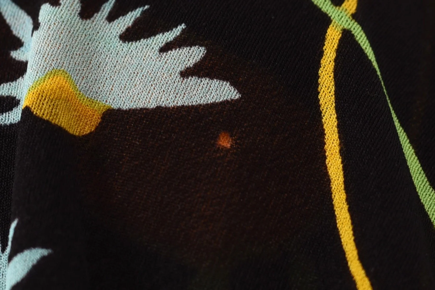 DSC_0044.jpeg