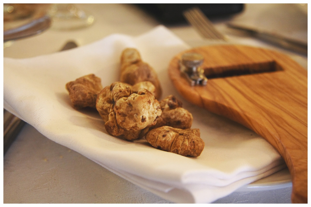 fiera del tartufo di alba tartufo bianco d'alba langhe e roero sagre eventi.jpg