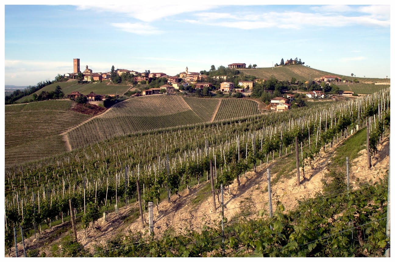 Barbaresco LANGHE E ROERO COMUNE TURISMO IN LANGA.jpg