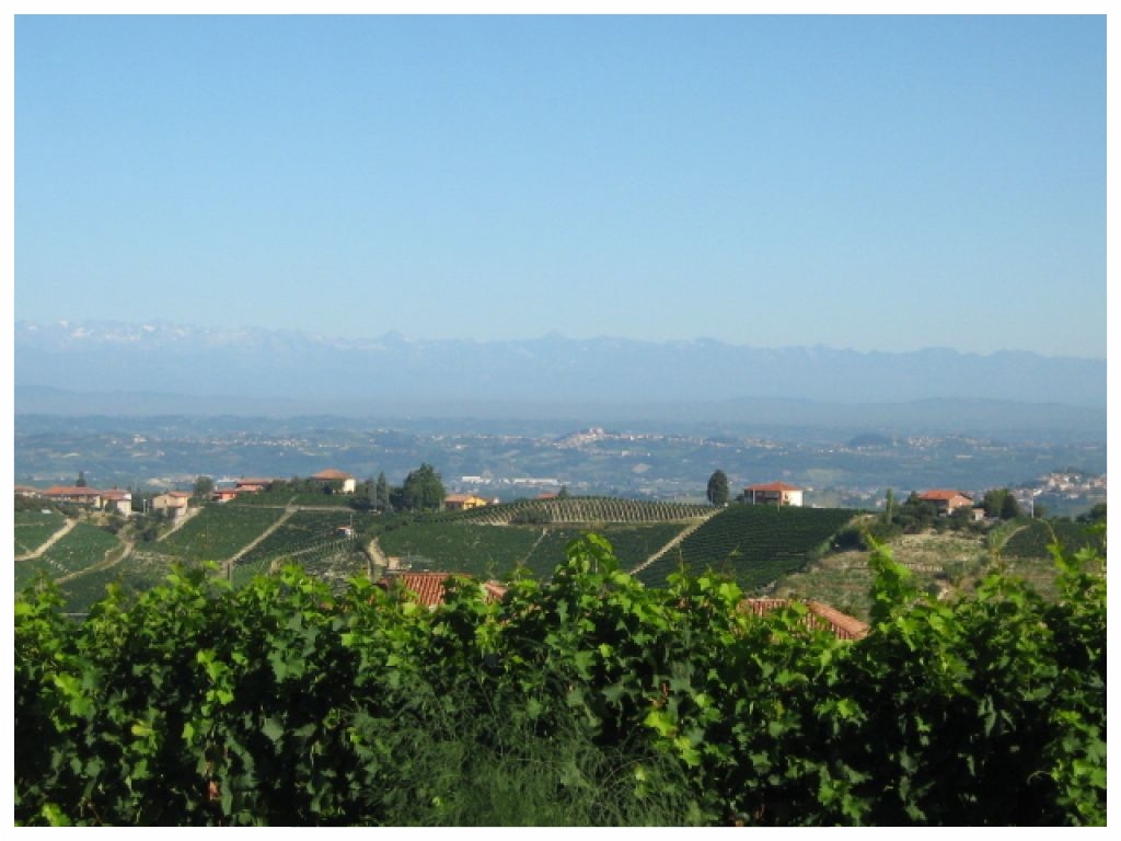 COMUNE DI CAMO LANGHE E ROERO TURISMO PANORAMI.jpg