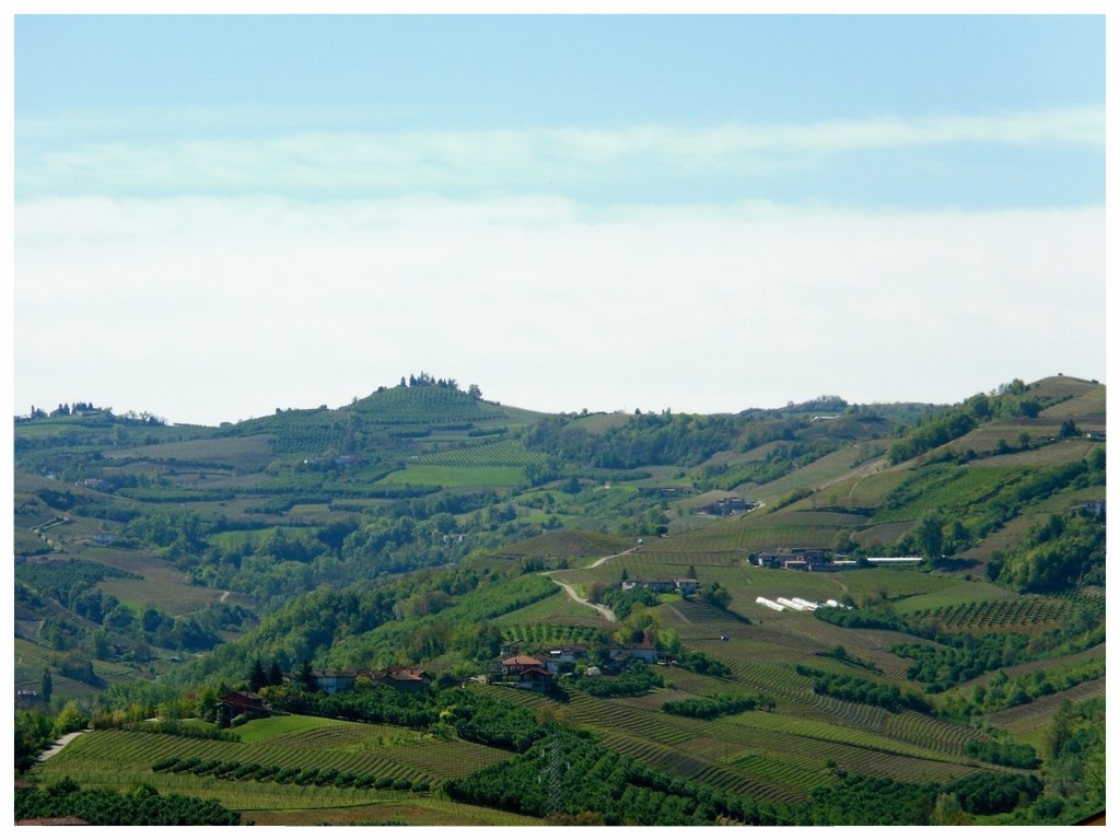 big_panorama-langhe castagnito langhe e roero turismo .jpg