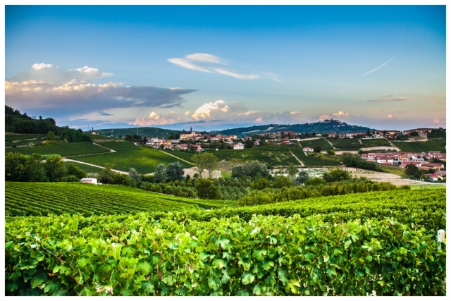 big_panorama-langhe castagnito langhe e roero turismo tour.jpg