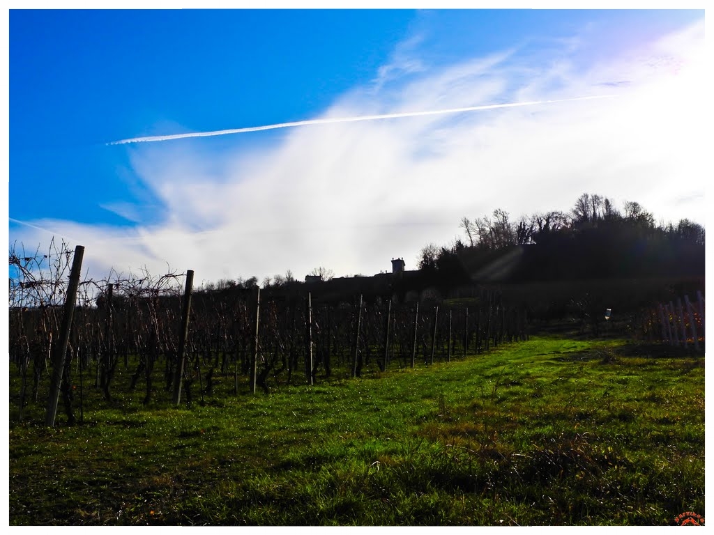 big_panorama-langhe castagnito langhe e roero turismo piemonte.jpg