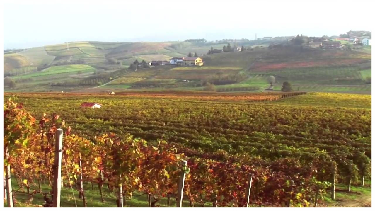 big_panorama-langhe castagnito langhe e roero turismo vigneti.jpg