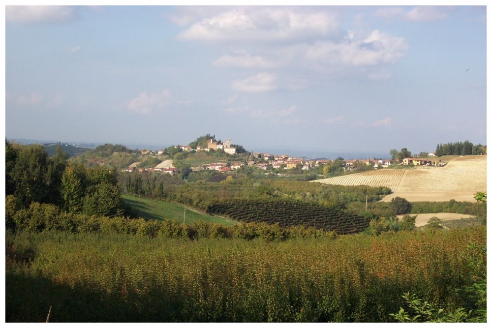 Castagnito big_panorama-langhe castagnito langhe e roero turismo.jpg