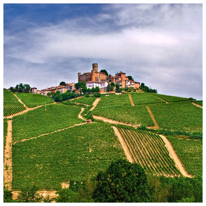 castiglione falletto comune langhe e roero piemonte turismo in langa percorsi nelle langhe vini piemonte  agriturismi tipici.jpg