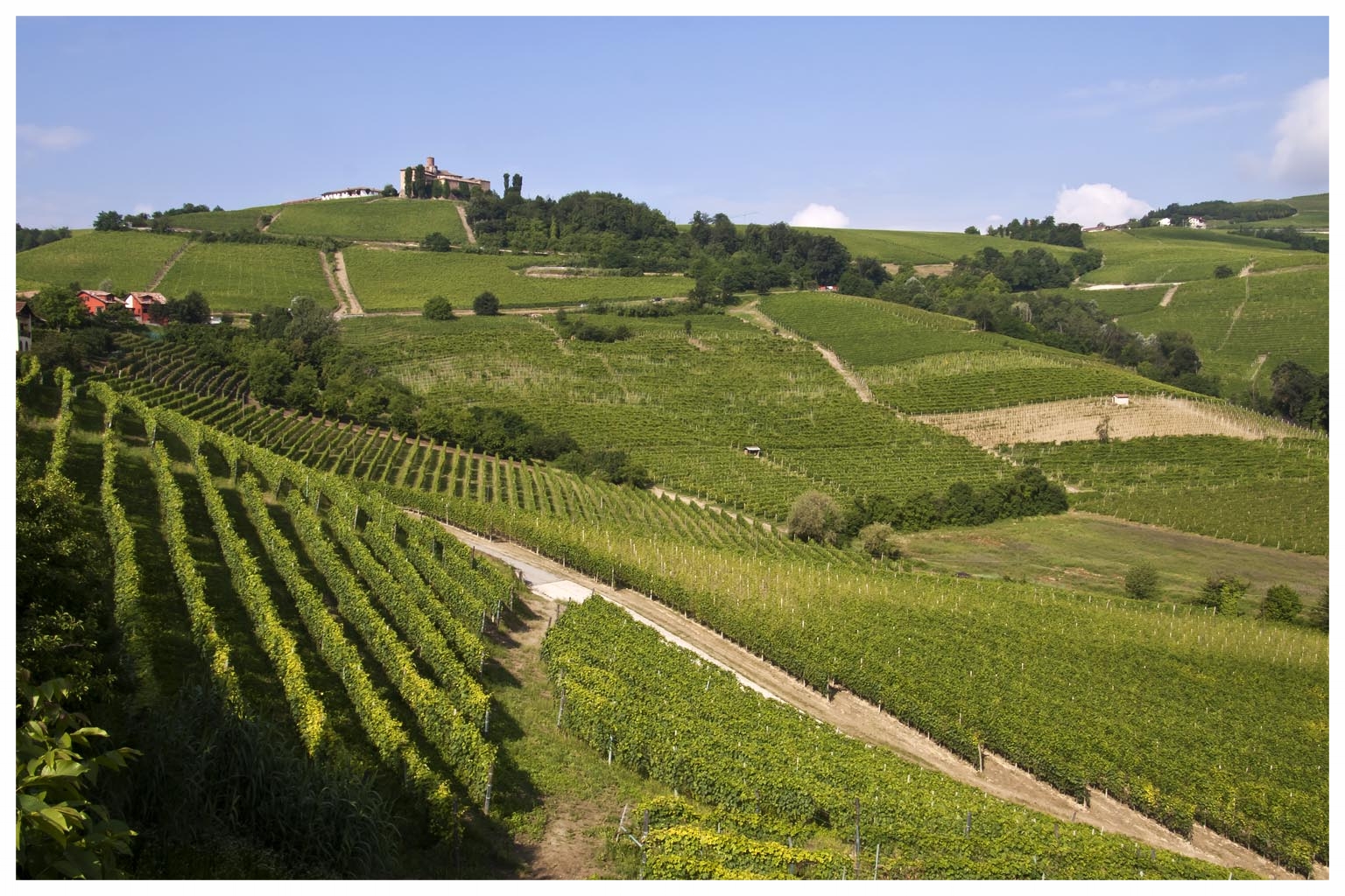 CERRETTO LANGHE TURISMO LANGHE E ROERO PIEMONTE TOUR PERCORSI ENOGASTRONOMICI ITINERARI VIAGGI  COLLINE.jpg