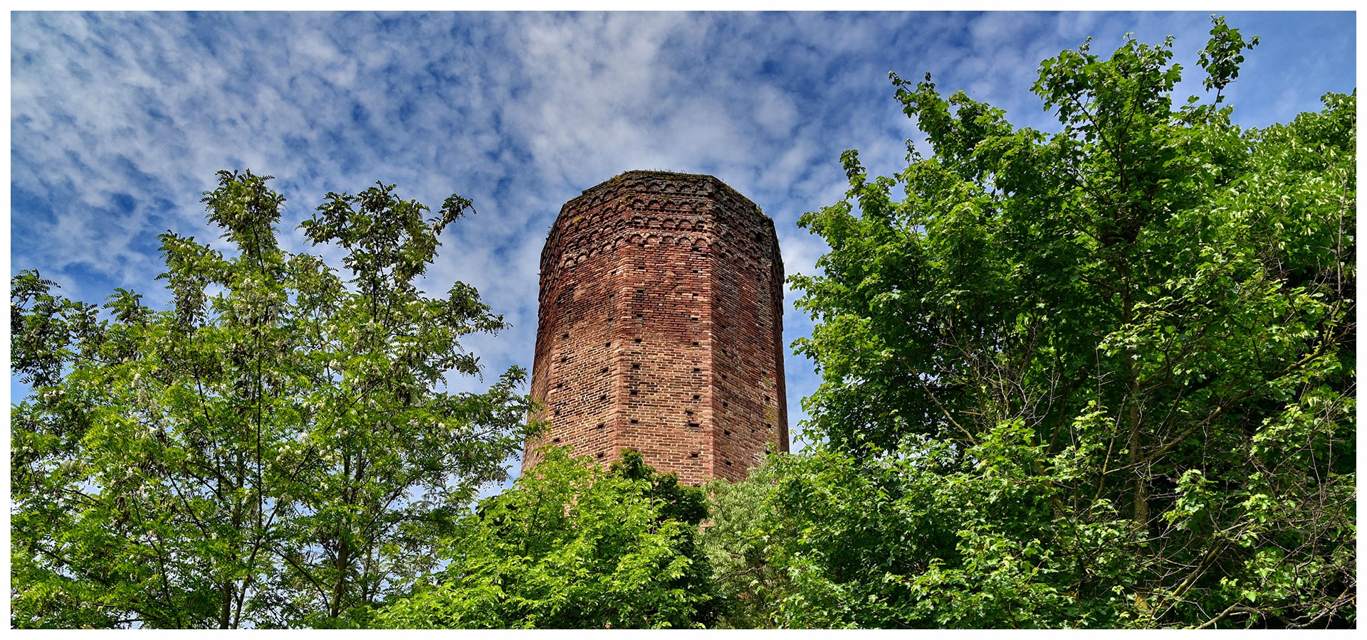 torre-di-corneliano d'alba langhe e roero comune piemonte turismo visita.jpg