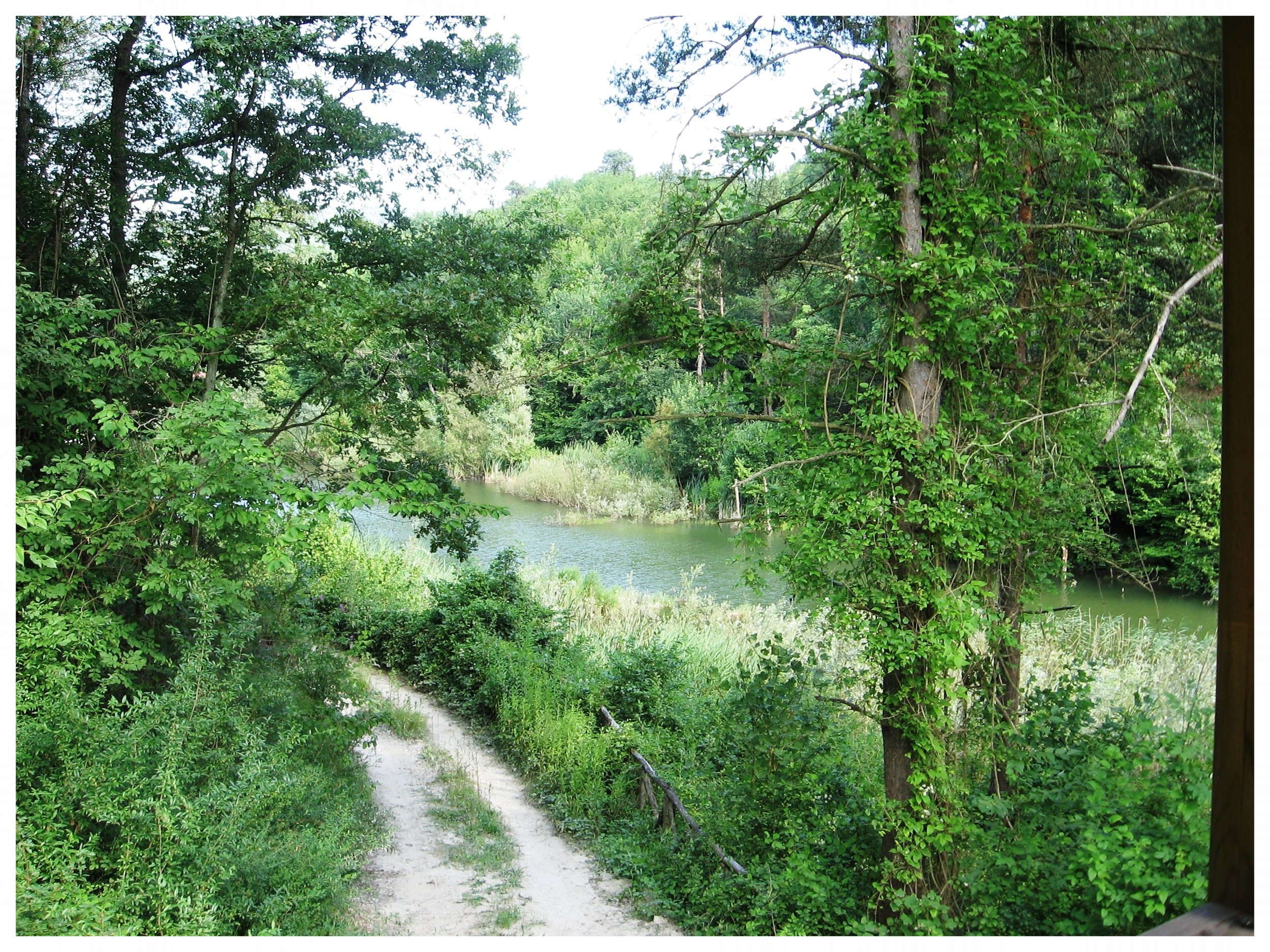 Gottasecca.Il_lago_del_vaglio_dalla_torretta.jpg