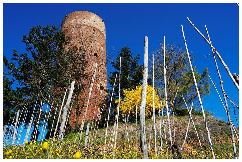 la-torre-di-montaldo-roero.jpg