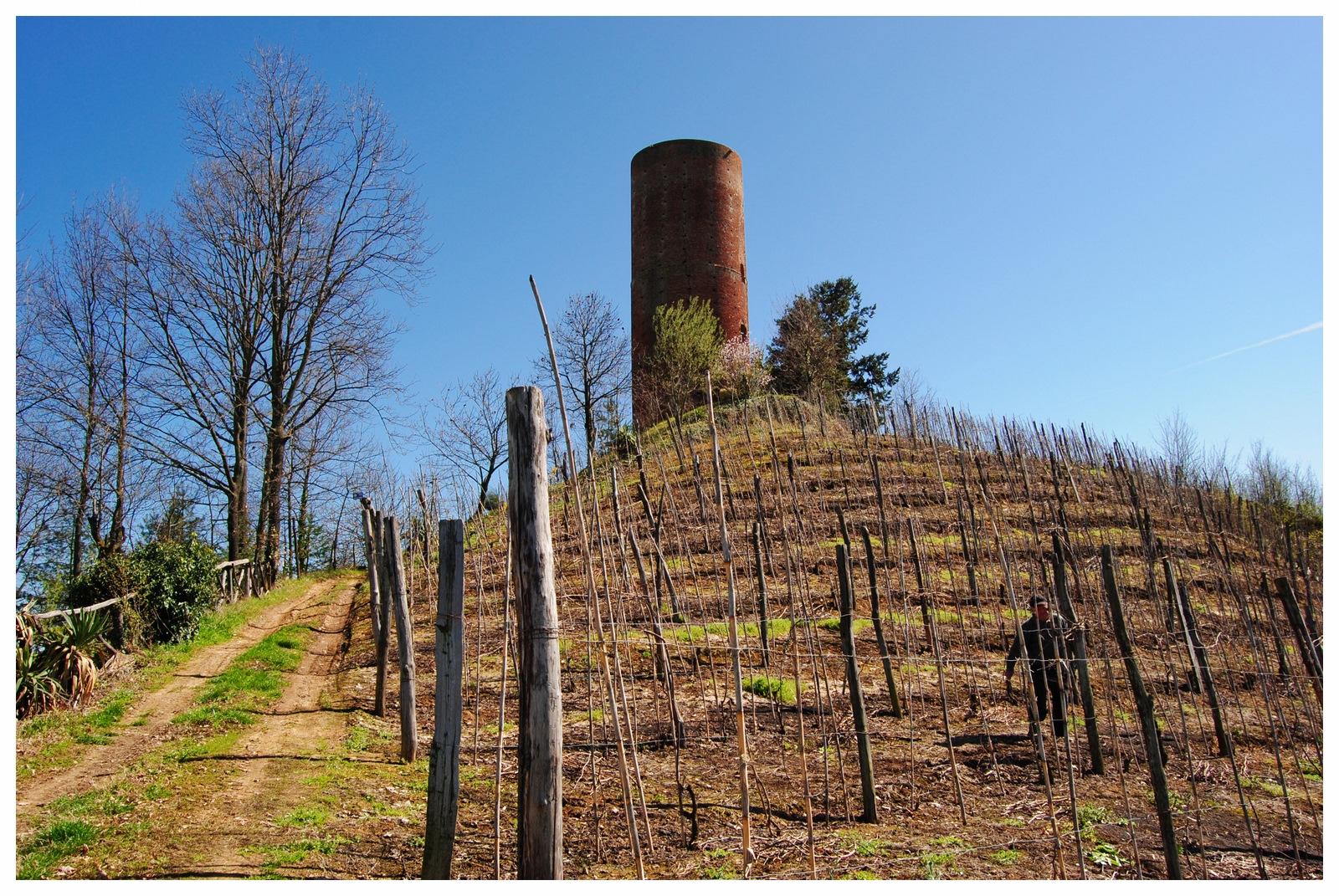 montaldo roero comune langhe roero piemonte viaggi itinerari tour in langa experience .jpg