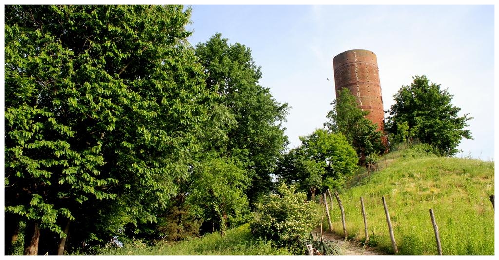 TORRE MONTALDO ROERO LANGHE.jpg