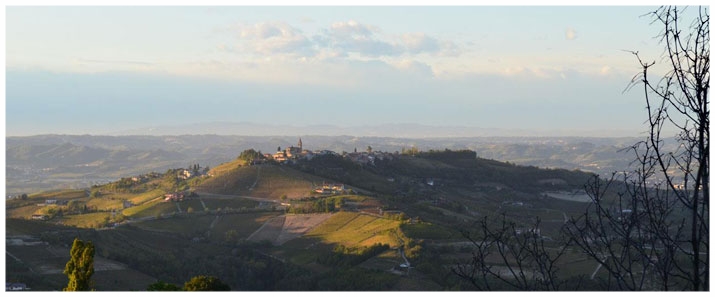 MONTELUPO ALBESE PANORAMI LANGHE ROERO CANTINE.jpg