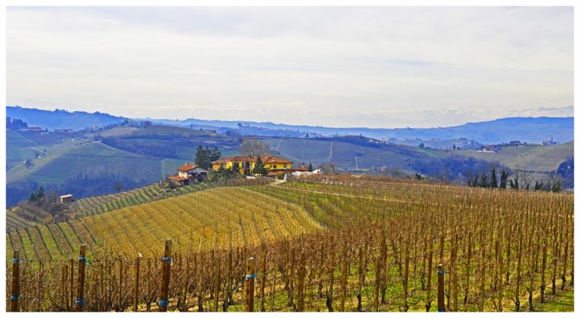 MONTELUPO ALBESE PANORAMI LANGHE ROERO VIGNETI.jpg