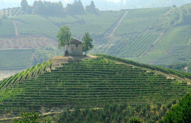 MONTEU ROERO COMUNE LANGHE ROERO.jpg