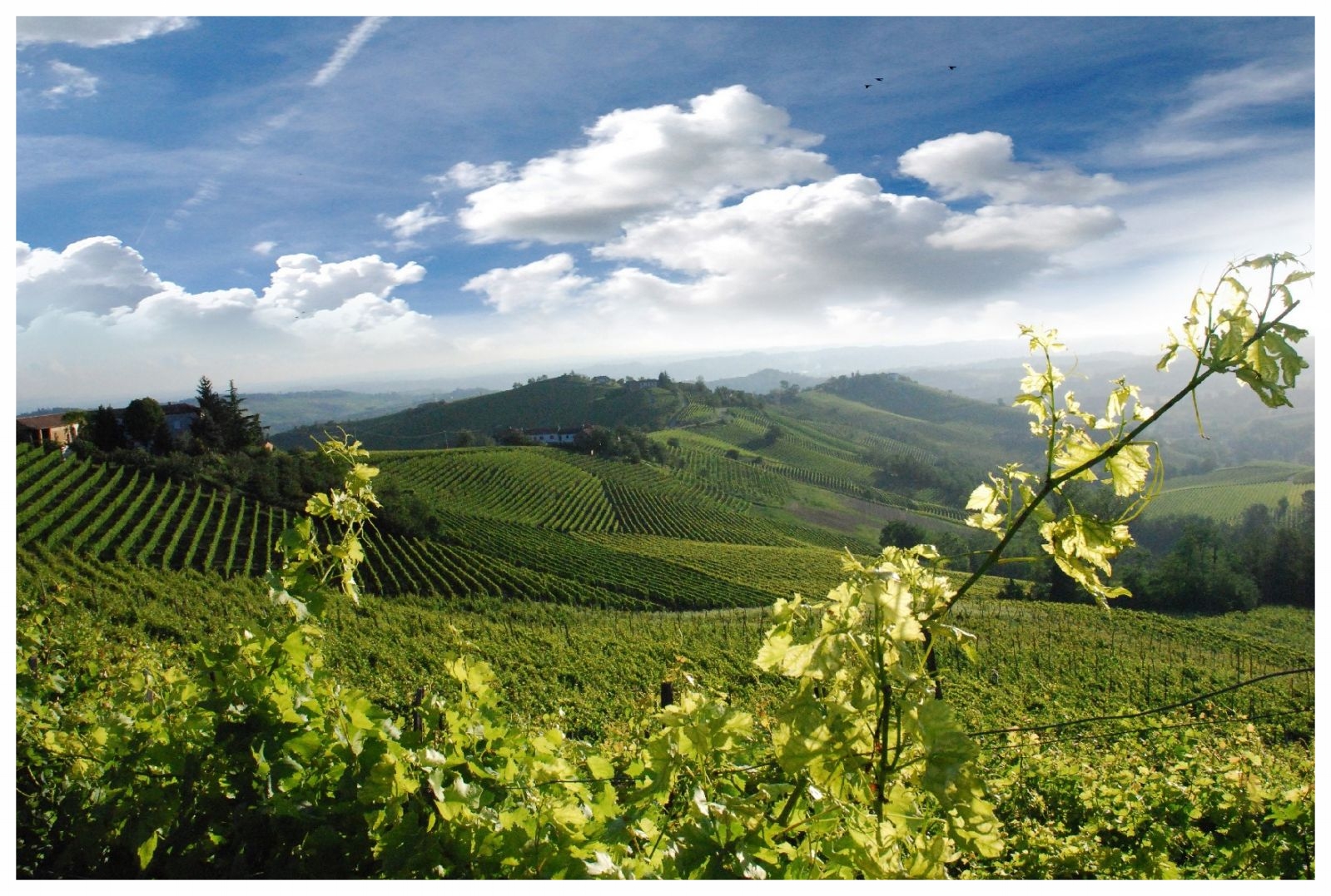 niella belbo piemonte cuneo langhe roero turismo visita tour percorsi itinerari cosa vedere monferrato.jpg